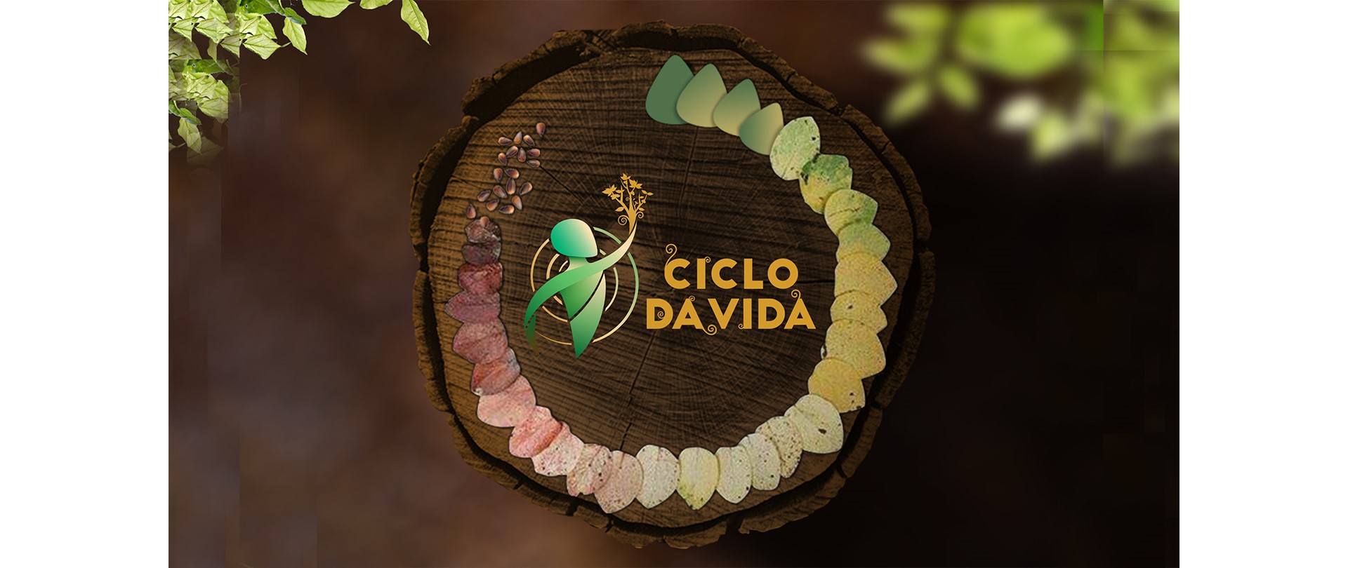 CICLO DA VIDA