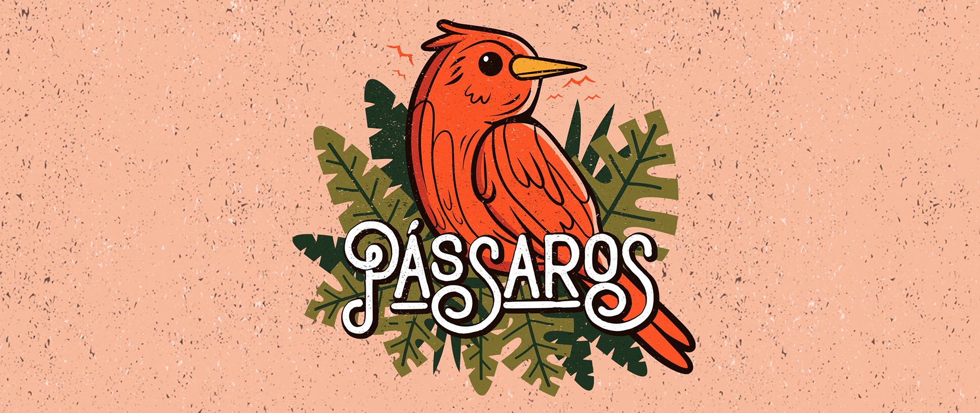 PÁSSAROS